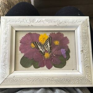 Framed Butterfly and Floral Art